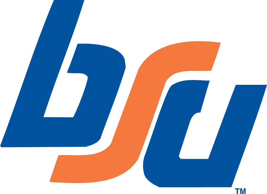 Boise State Broncos 1983-2002 Alternate Logo v2 t shirts iron on transfers
